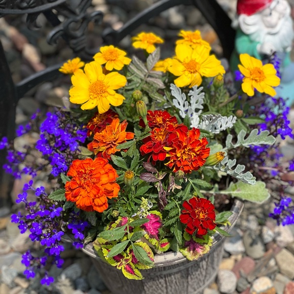 Meet your Posher, Lu- Womenโs and Home - Picture 2 of 8